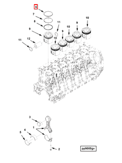 3695509 Image1