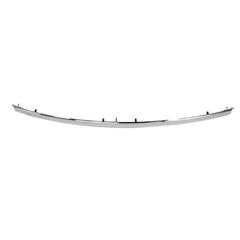 Bumper Trim Molding - Front (Limited)
