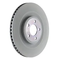 Disc Brake Rotor - Rear (Police)