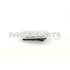 LAMP - DOOR PAD
