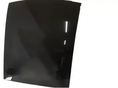 Roof Panel Glass