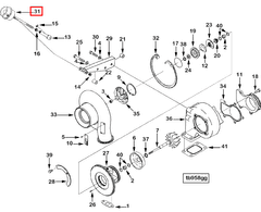 3590772 Image1