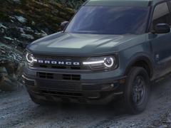 Bronco Sport Matte Clear Hood Graphic