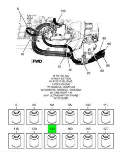 Figure 18C5Q