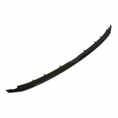 Grille Molding - Front 3.7L (Police)