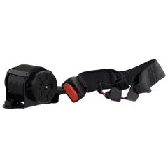 Seat Belt Lap and Shoulder - Rear, Center