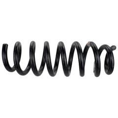 Coil Spring - Front