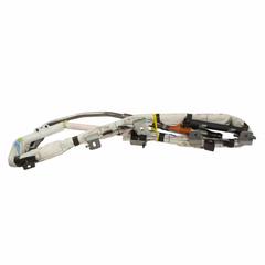 Curtain Air Bag Module - Left