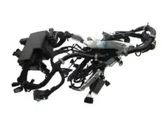 Wiring - 5.0L