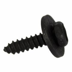 Self Tapping Screw