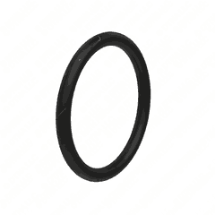 Toroidal Seal Ring (OM936 EUROMOT 5)