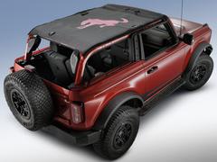 Bronco Horse Bimini Top Black with Pink for 2Dr Model