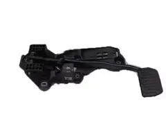 Pedal and Bracket AS (AT)