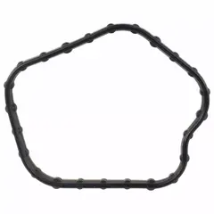 Engine Oil Filter Adapter Gasket - 5.0L