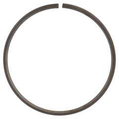 Snap Ring (AT)