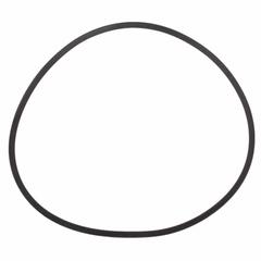 Seal (AT)