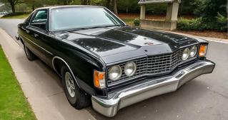1973 Ford Galaxie 500