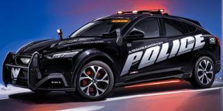 2015 Ford Special Service Police Sedan