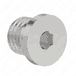 Screw Plug