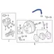 Brake Vacuum Hose Supply Manifold - 3.5L (Police, SHO)