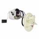 Fuel Pump and Sender - 5.0L