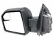 Door Mirror Rear View Head - Left, Outer