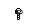 Screw