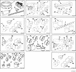 4918246 Image9