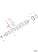 3176216 Image2