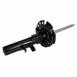 Suspension Strut Shock Absorber - Right, Front