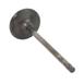 Engine Intake Valve - Inlet
