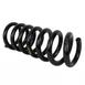 Coil Spring - Rear