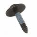 Screw and Washer - M4.2 x 22