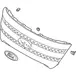 Radiator Grille - Front