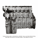 Long Block Engine DD16 15.6L GHG14 with Rear Sump, CSR Piston