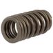 Engine Valve Spring - 3.0L.