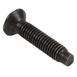 Window Regulator Guide Screw Bolt - M6, Front
