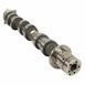 Engine Camshaft - Left