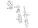 Coil Spring - Right, Front