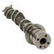 Engine Camshaft - Right 3.3L