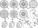 Wheel Rim - Front, Rear 20 X 8 Cast