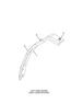 Figure 6115758C1