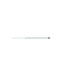 Bottom 4904552 Image 8