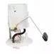Fuel Pump and Sender (EcoBoost)