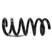 Coil Spring - Left, Rear
