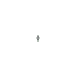 Left 5293891 Image 5