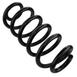 Coil Spring - Rear