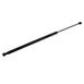 Hood Lift Support Gas - Left