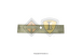 3609557C1 Image 2