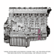 Long Block 3/4 Engine Closed Coolant Port DD16